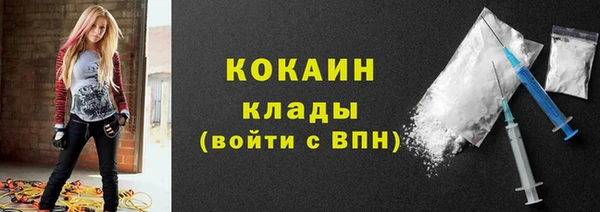 стаф Новозыбков