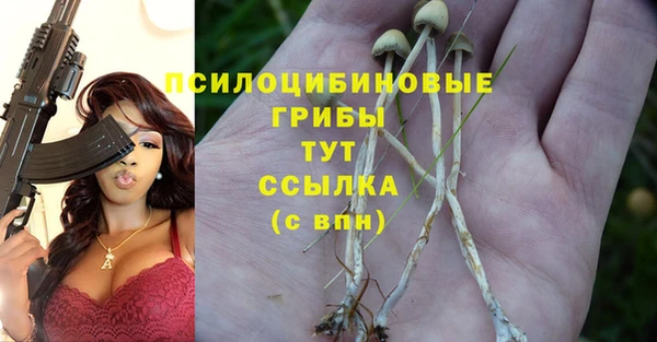 mdpv Нефтегорск