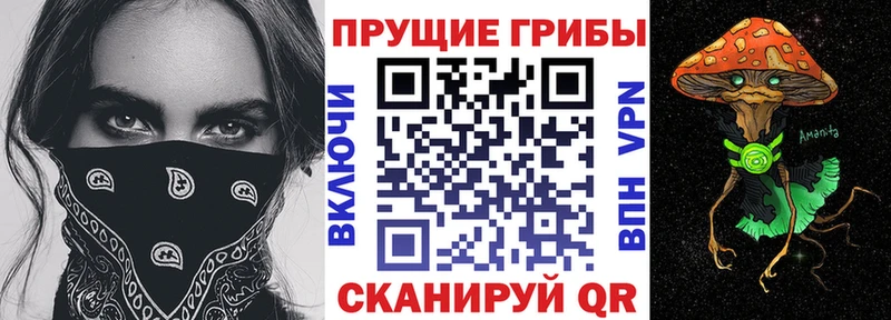 наркота  Кольчугино  Галлюциногенные грибы Psilocybine cubensis 